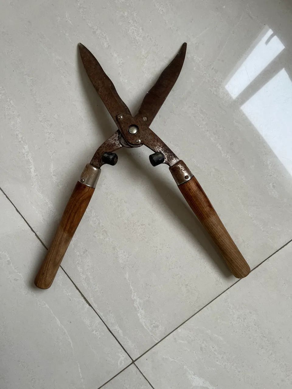Tesoura jardim 