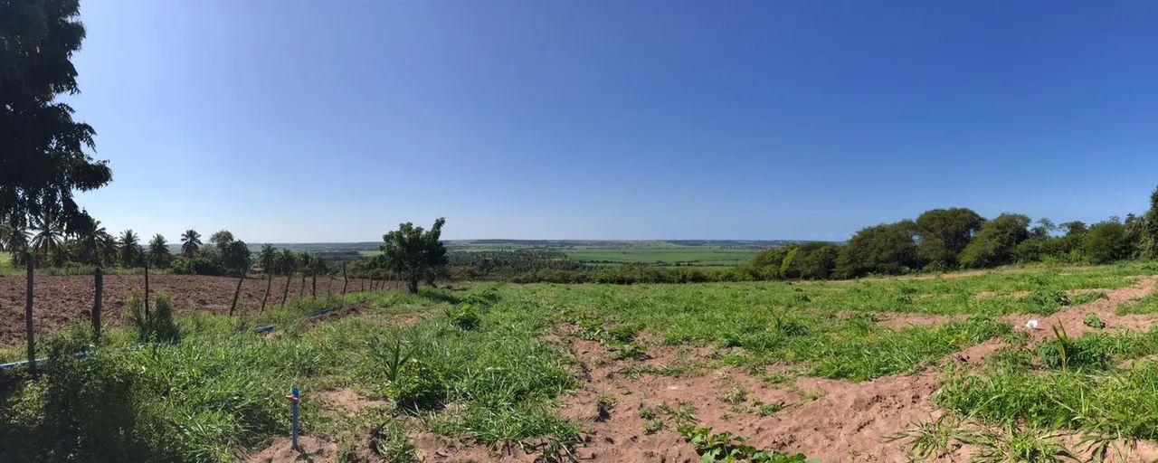 Granja em São José de Mipibu. 13ha - Foto 5