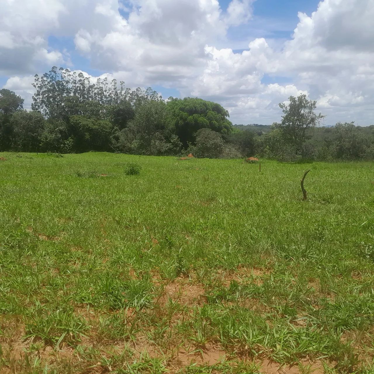 Terreno com área verde em ótima localização - Foto 2