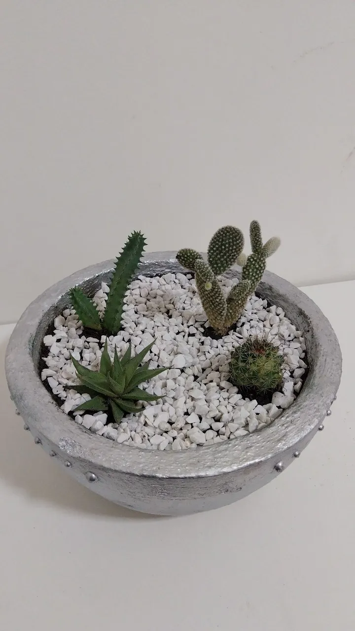 Plantas