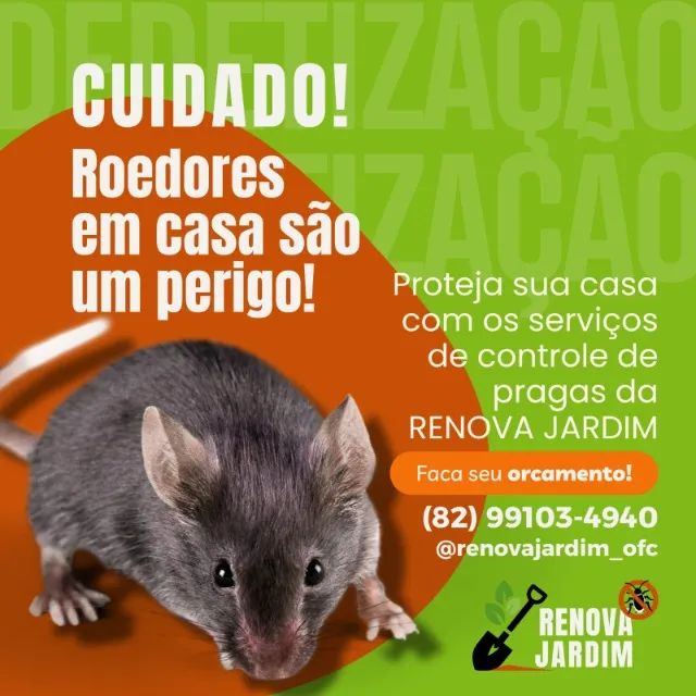 Dedetização e Controle de Pragas - Foto 2