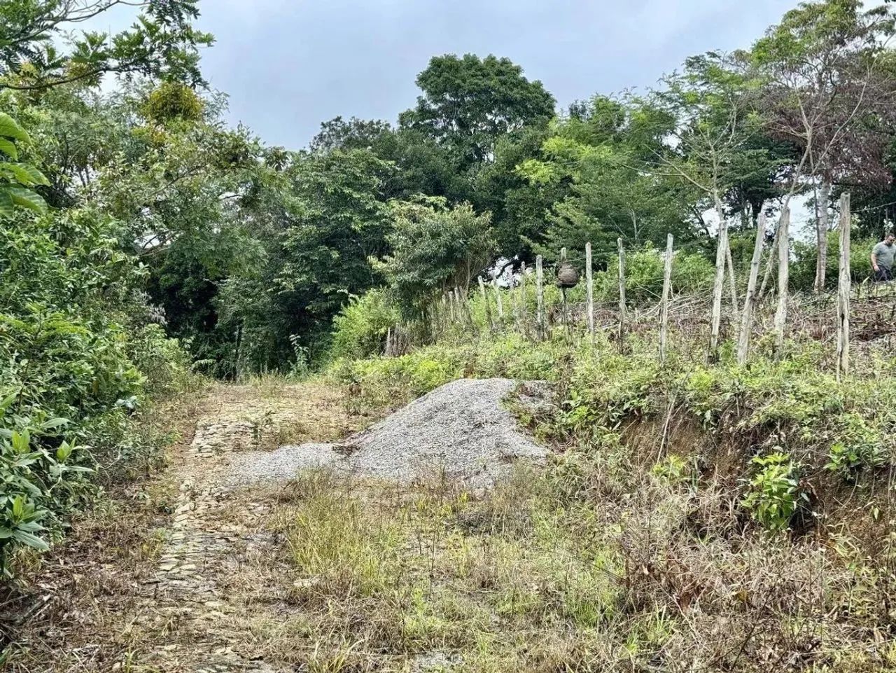 Terreno para , Sitio Cavaco, Mulungu - Foto 3