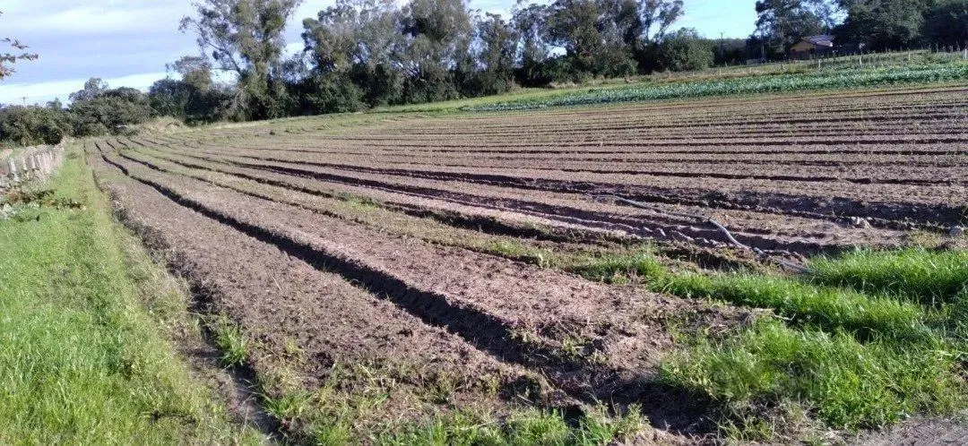 Área com 4,722 hectares, Av. do Lami - Belem Novo
