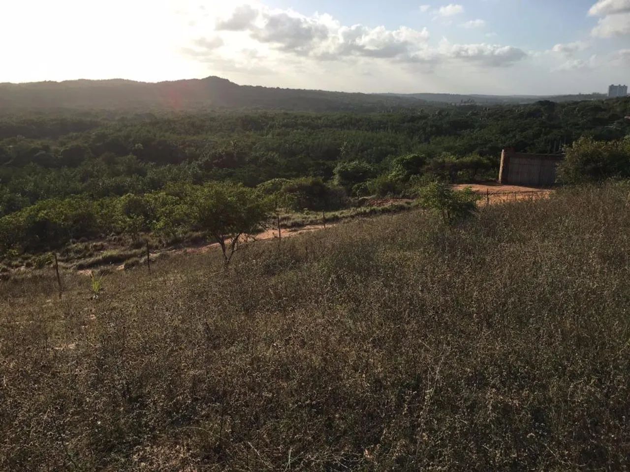 Chácara com 1 dormitório à venda, 46100 m² por R$ 530.000,00 - Pirangi do Norte (Distrito  - Foto 2