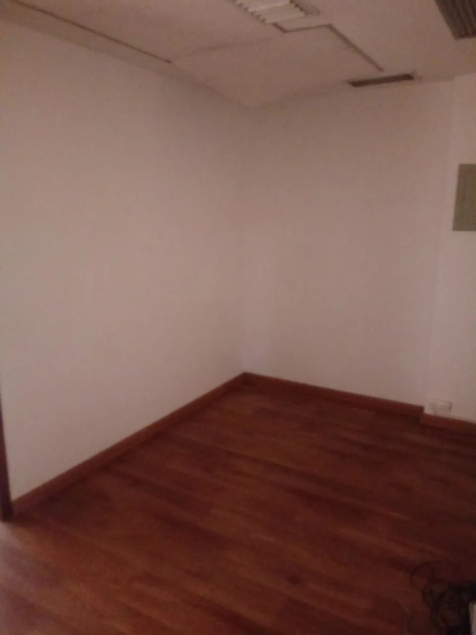 Avenida Rio Branco - Foto 3