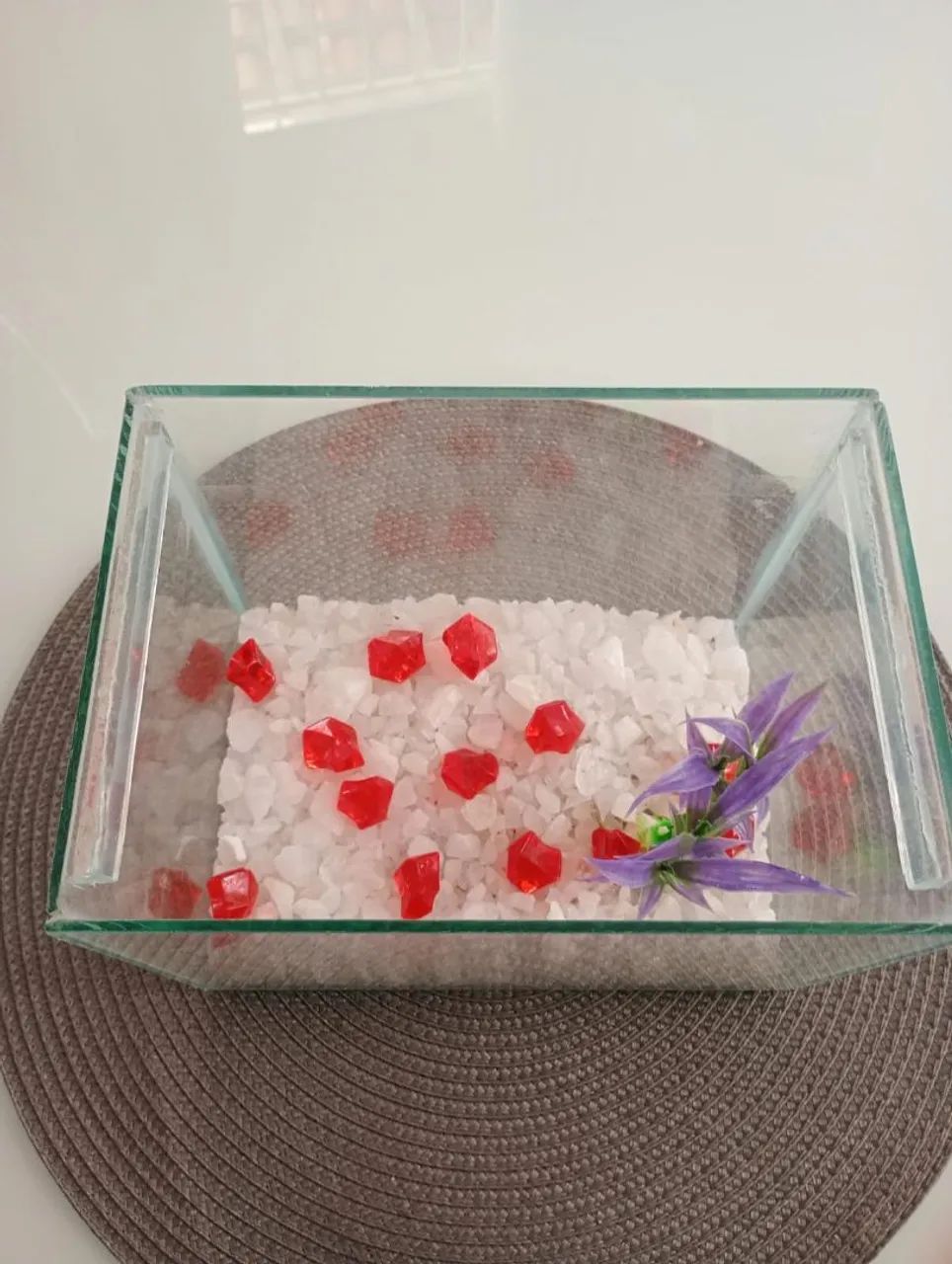 Aquário decorado  - Foto 3