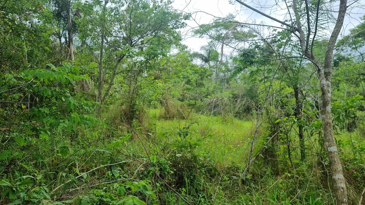 Mini sítios em localização privilegiada: acesso fácil a 4km de Taquara e 7km de Igrejinha  - Foto 7