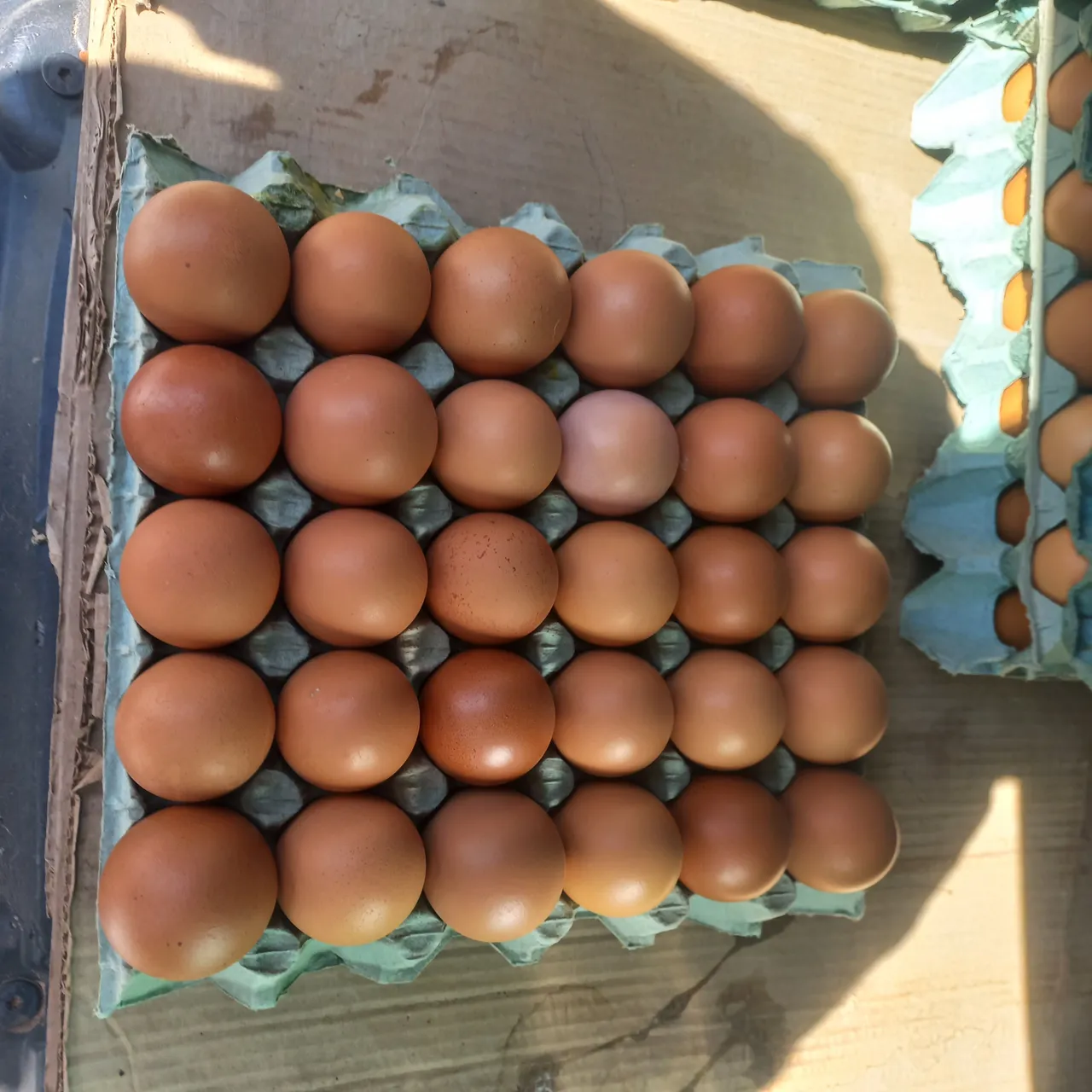 Vendo ovos fresquinho caipira vermelho orgânico