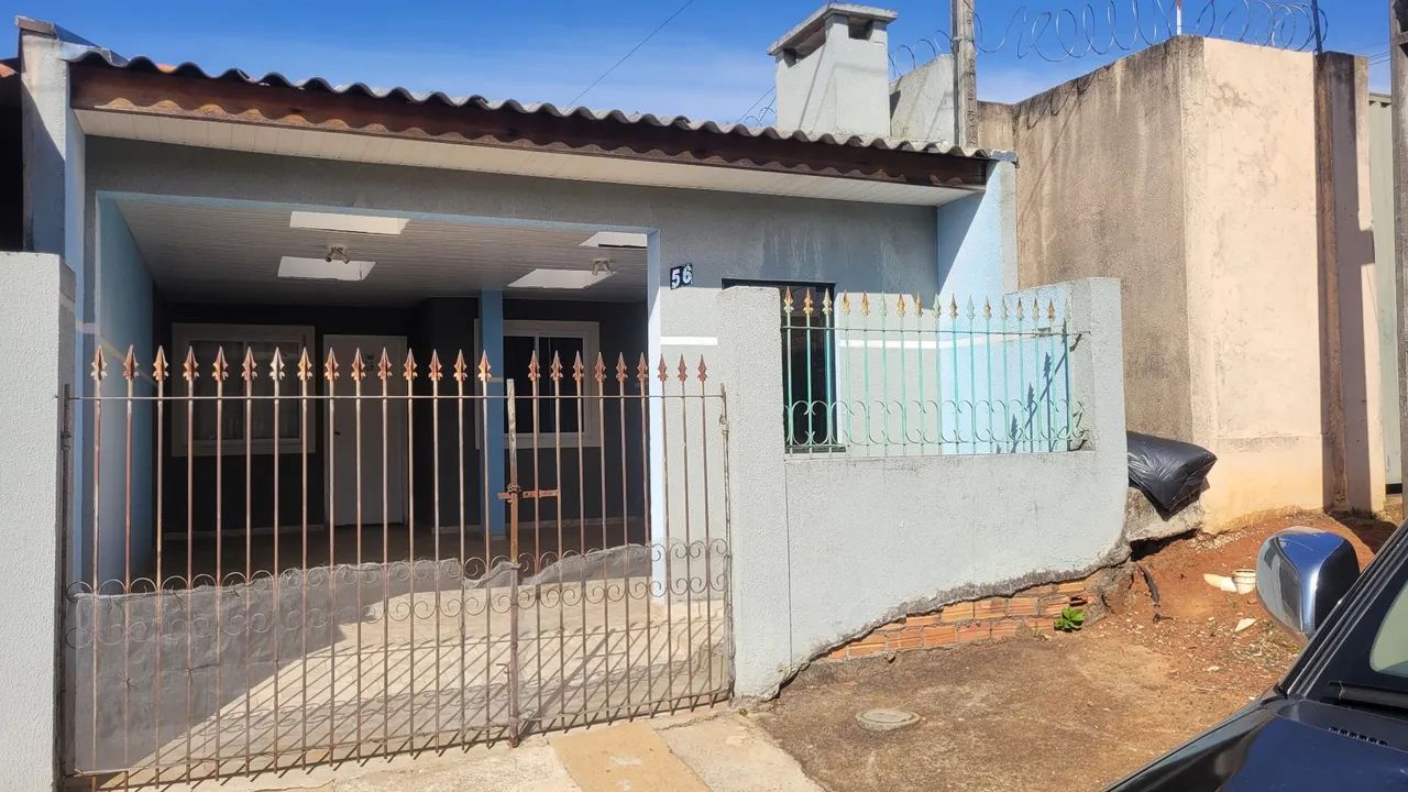 Foto - Ponta Grossa - Cará-cará