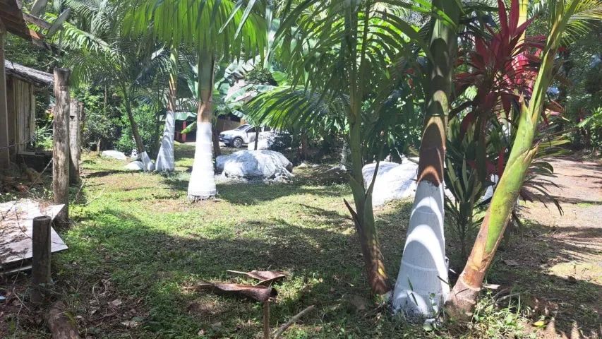 Chácara com acesso a Natureza, tranquilidade e qualidade de vida! Com 5.000m²