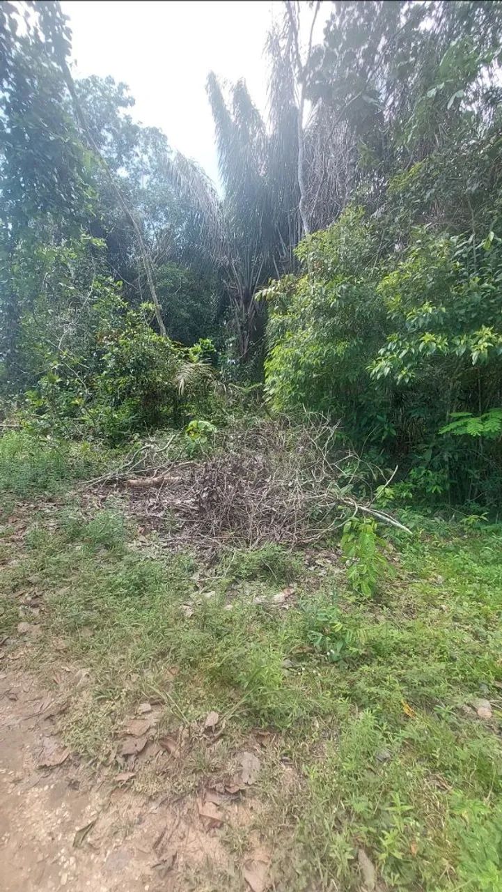 Dois Lotes de terras a 2 km da Praia do Açutuba - Foto 2