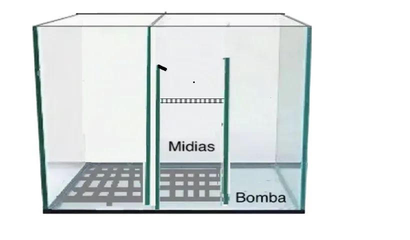 Sump 40x20x25cm Vidro 4mm p/ Aquário Marinho / Reef até 150 Litro com Frete Grát - Foto 2
