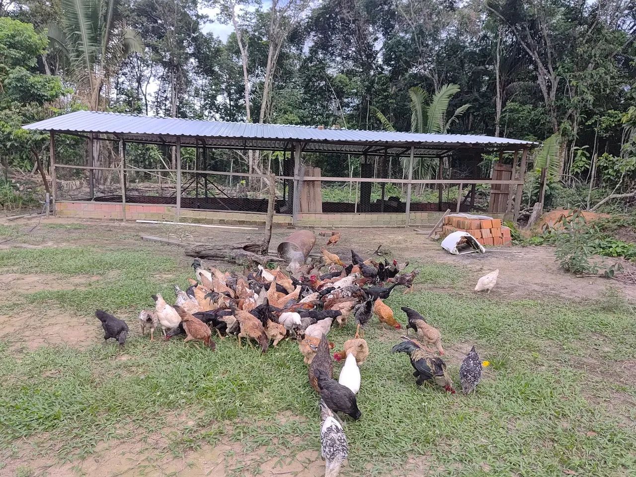 Vendo sitio porteira fechada  - Foto 4