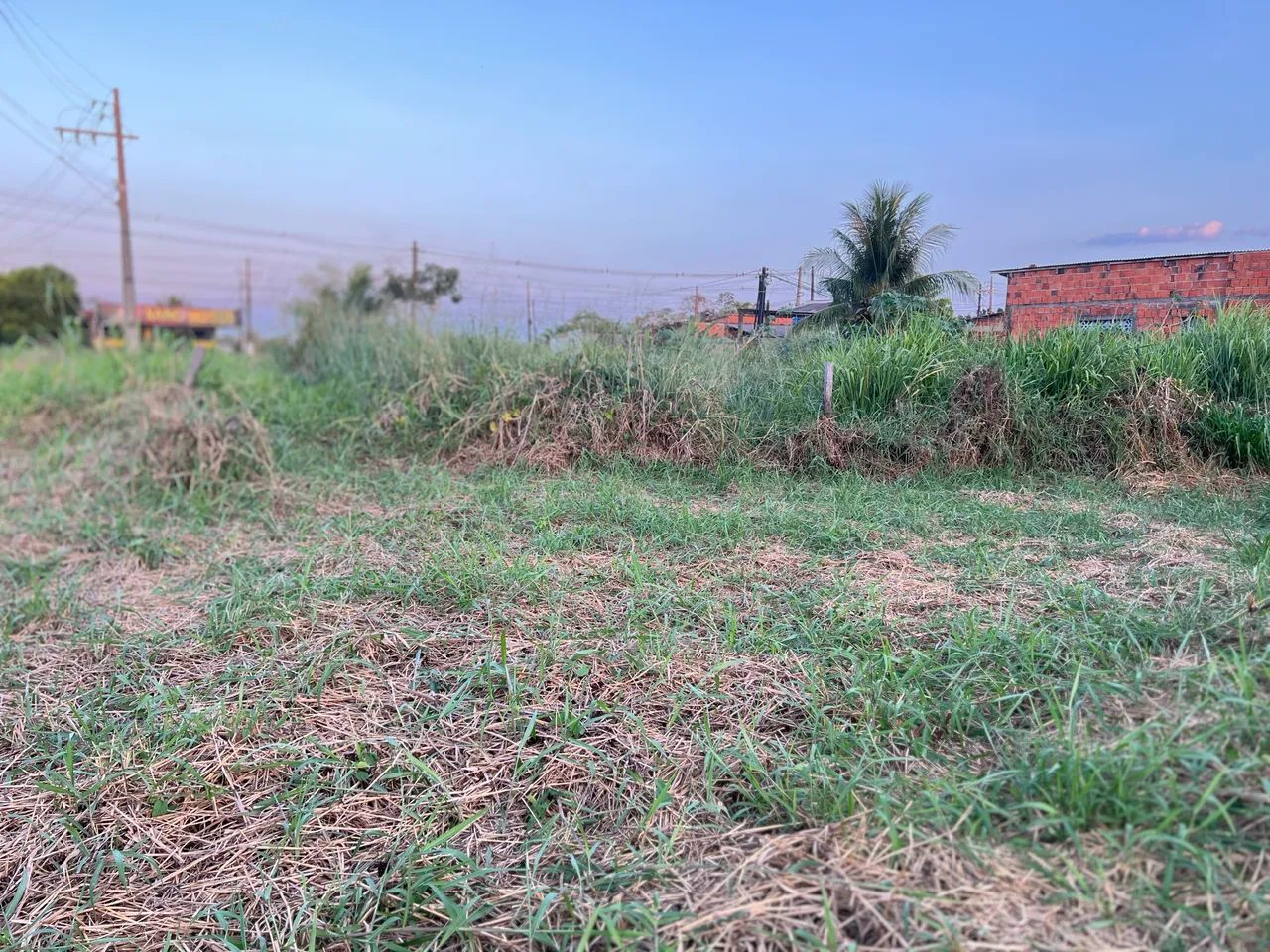 Terreno no Alto Alegre principal - Foto 4