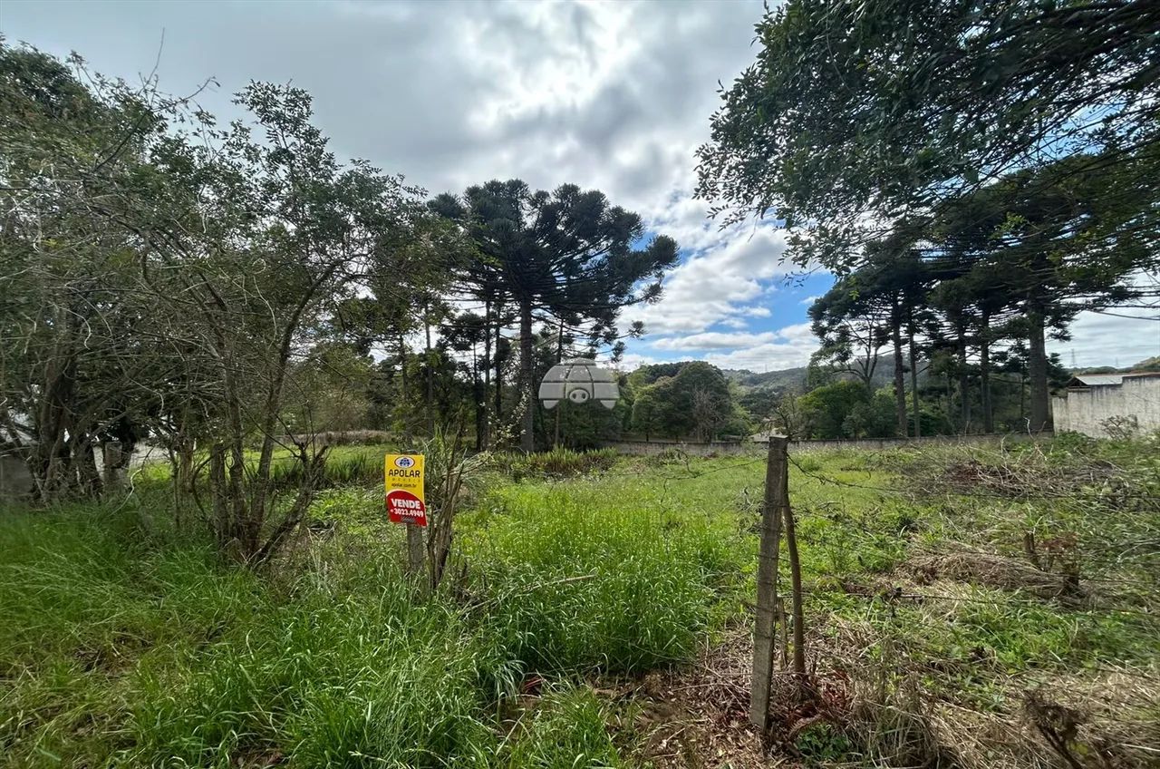 Vendas Terreno Campo Largo PR - Foto 4