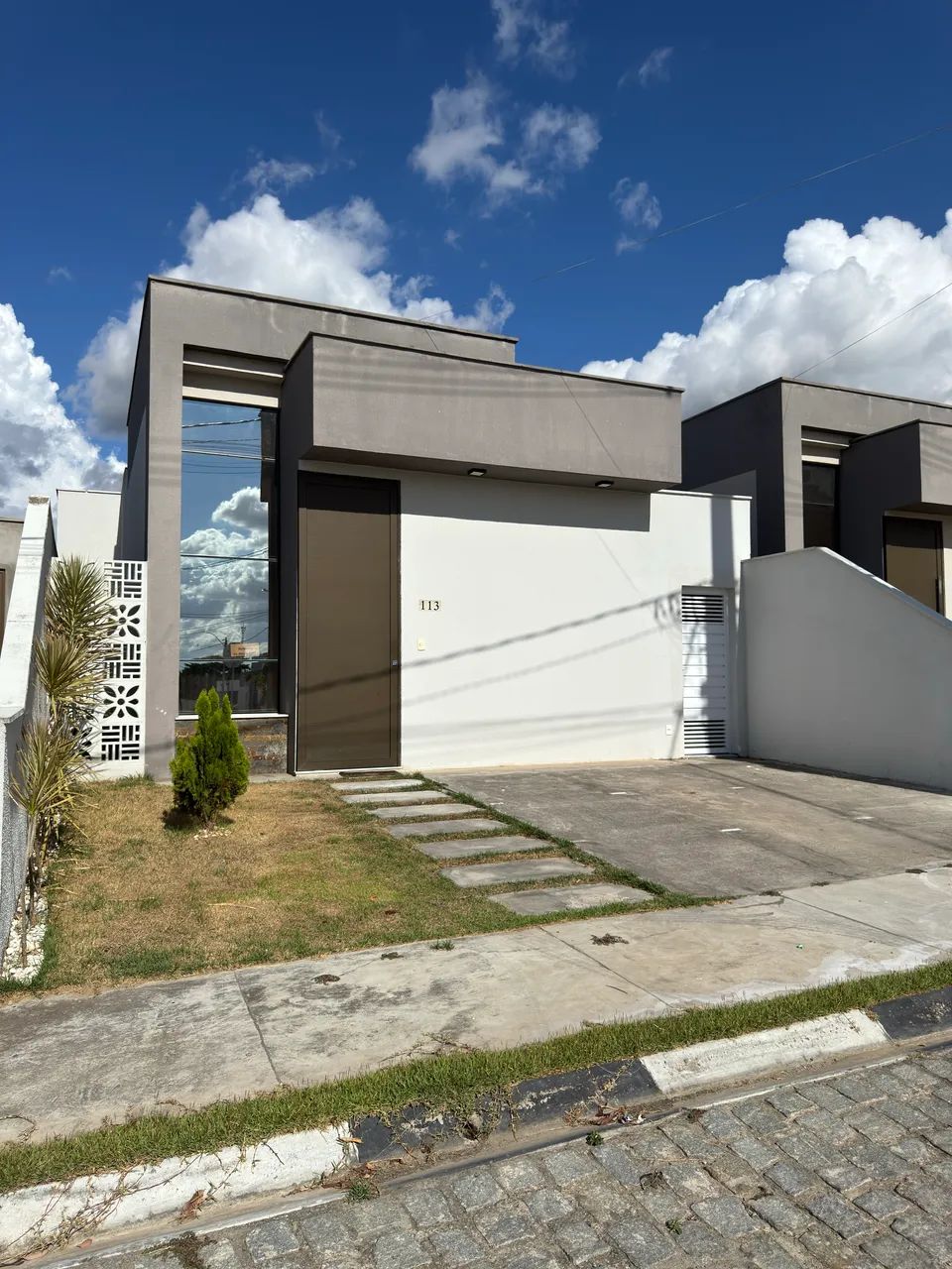 Foto - Feira de Santana - Papagaio