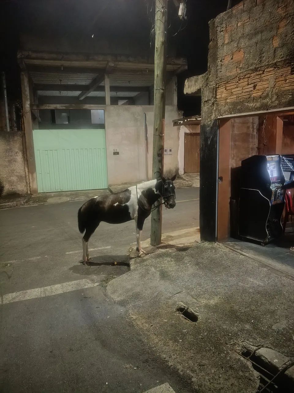 Oportunidade  - Foto 2