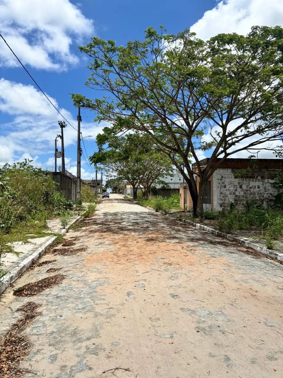 Loteamento cajá em carpina - Foto 4