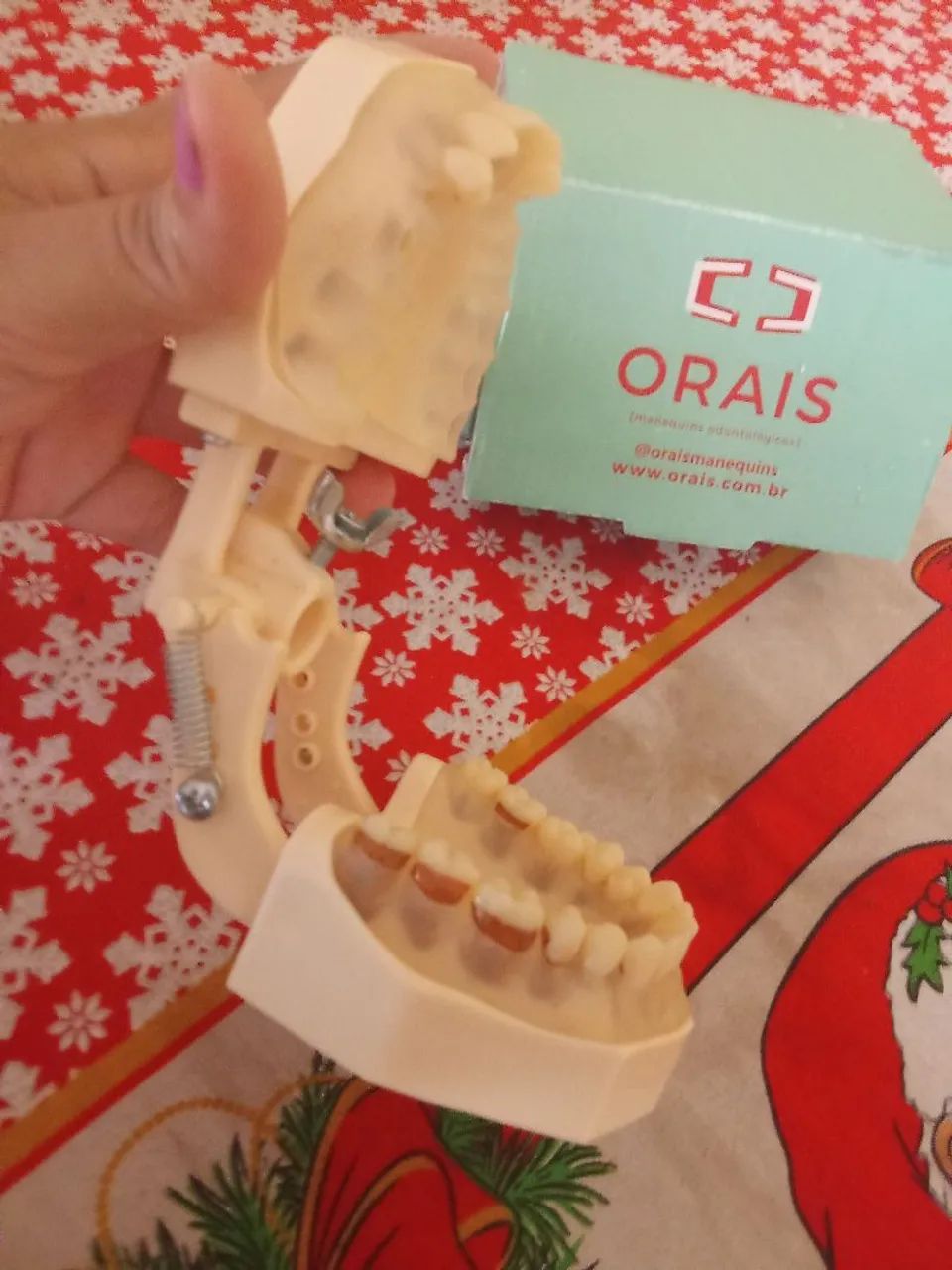 Manequins odontologicos  - Foto 4