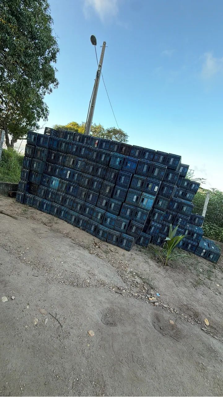 Caixas plásticas  - Foto 4