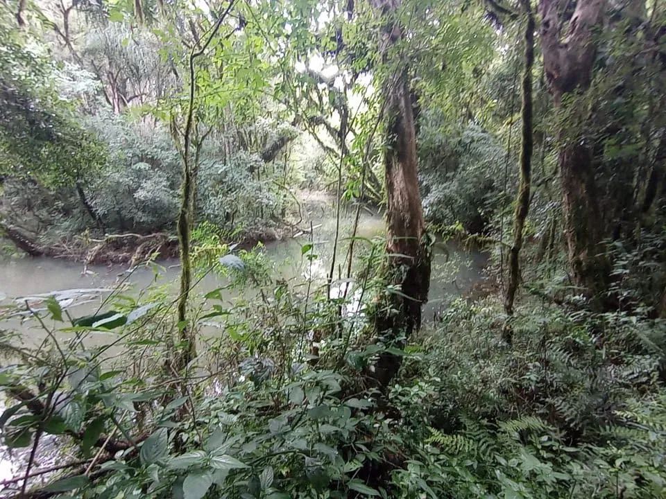 Imbituba - Venda - Foto 3