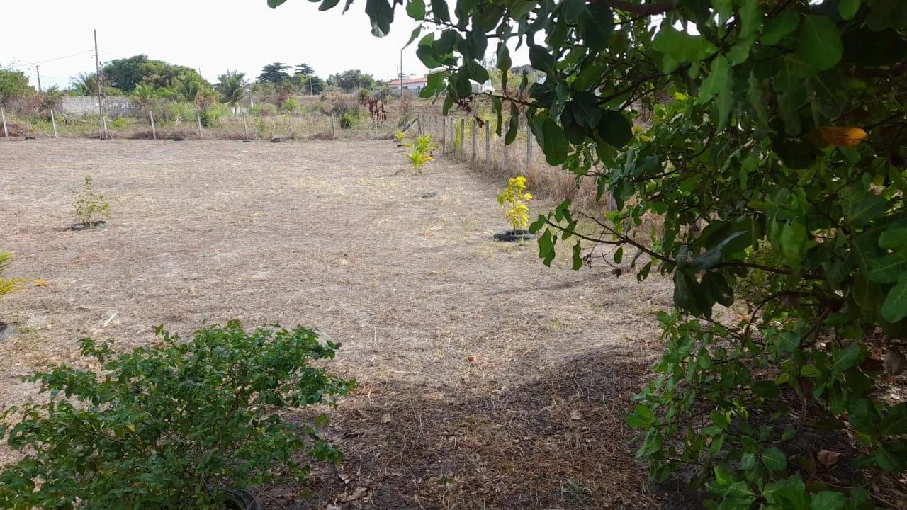 Terreno praia bela  - Foto 2