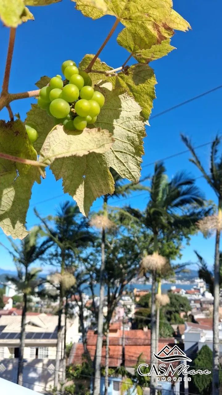 Casa à Venda em Itaguaçu, Floripa - Vista Mar e Piscina - Foto 2