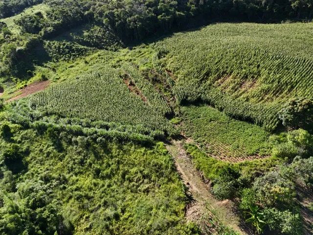 Terreno Duas Barras - Área total 2,5 hectares - Foto 4