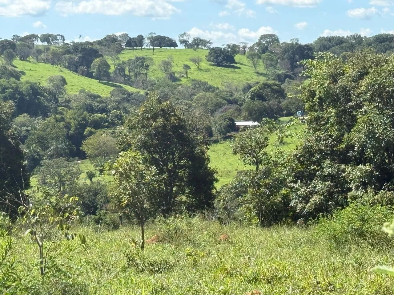 Foto - Nova Veneza - 