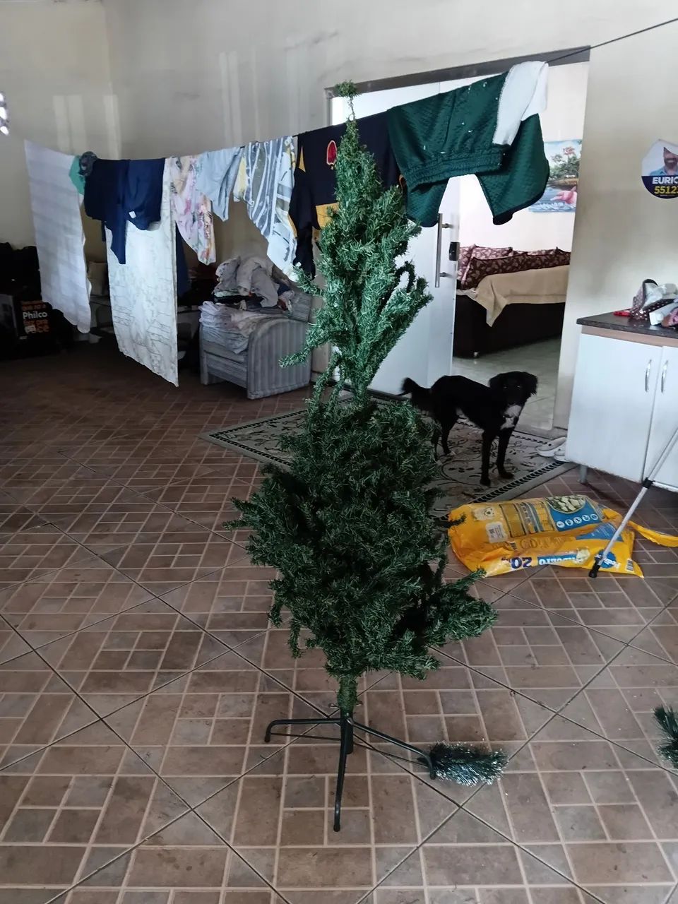 Árvore de Natal 