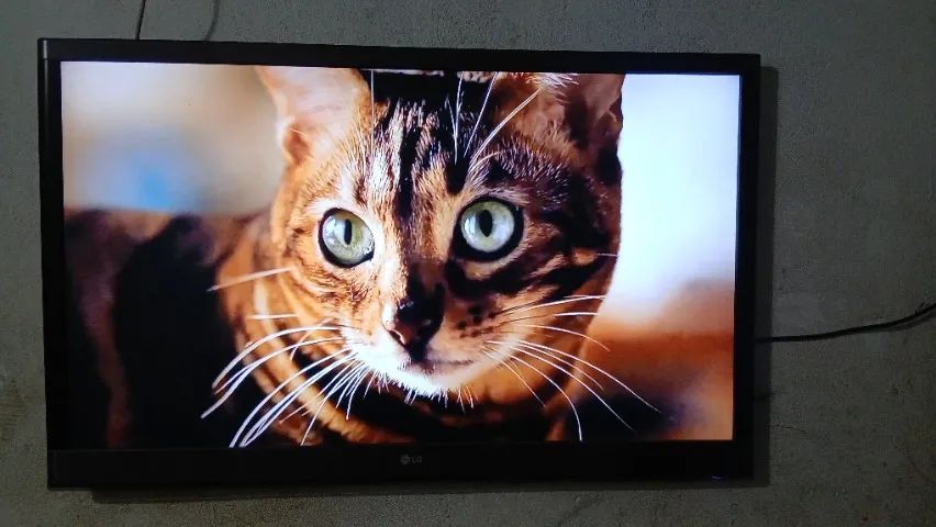 Tvs - Foto 3