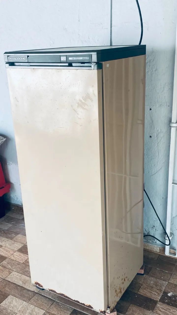 Frezzer Prosdócimo USADO 