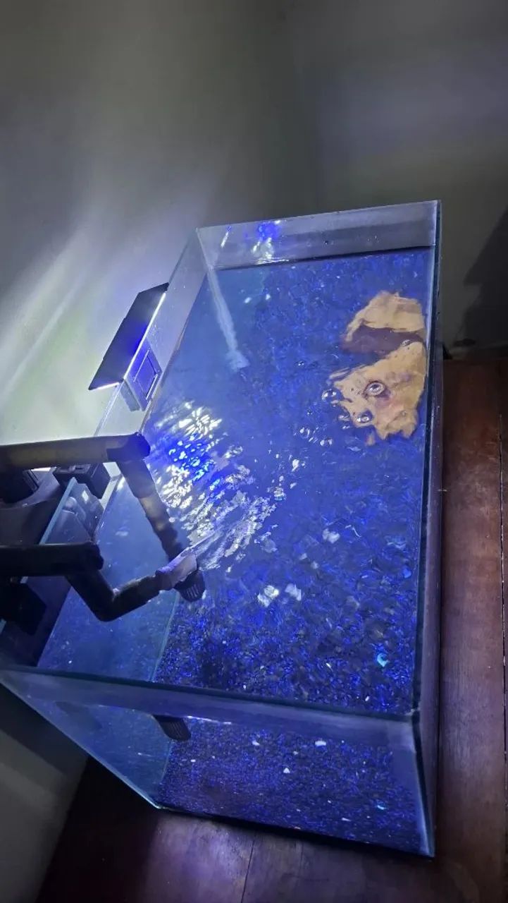 Aquário 65573857995139121