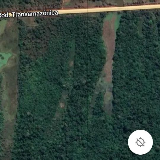 Fazenda à venda Próxima a Humaitá - AM - Foto 5