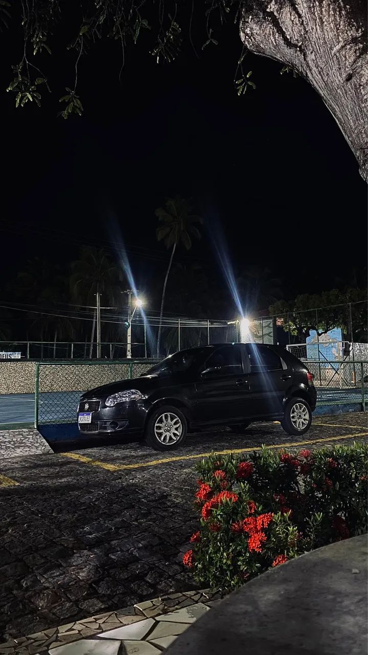 Fiat Palio 2010