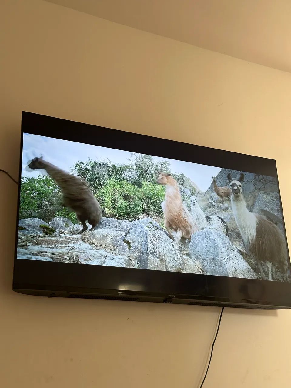 Televisão 50 polegadas