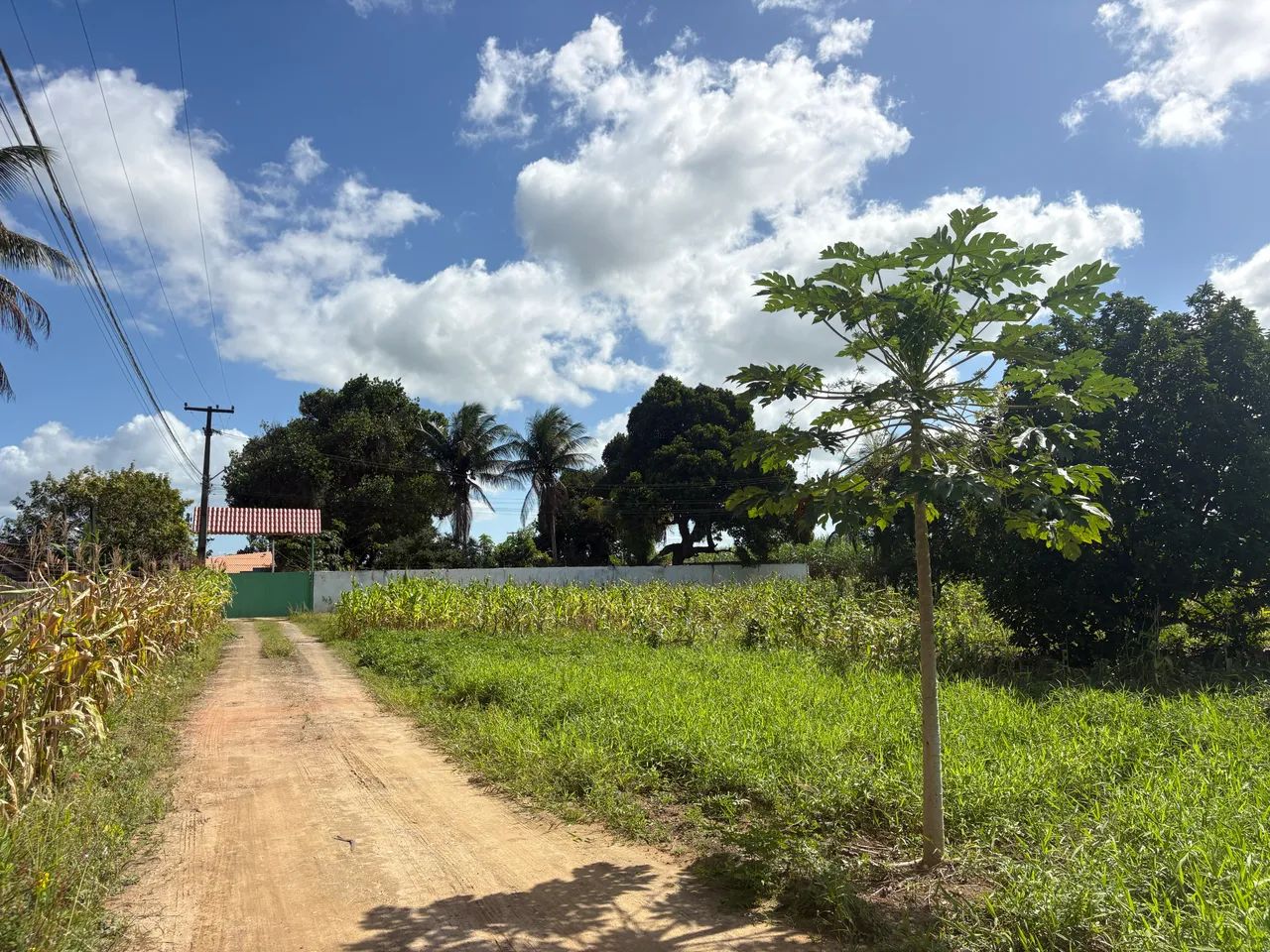 OPORTUNIDADE ÚNICA. - Foto 4