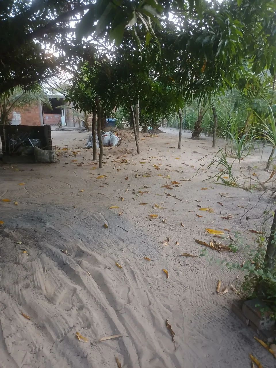 Casa com terreno - Foto 4