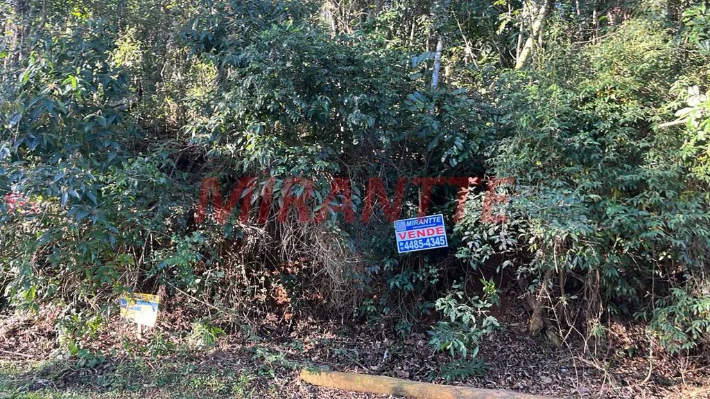 Terreno em Serra Da Cantareira - Foto 3