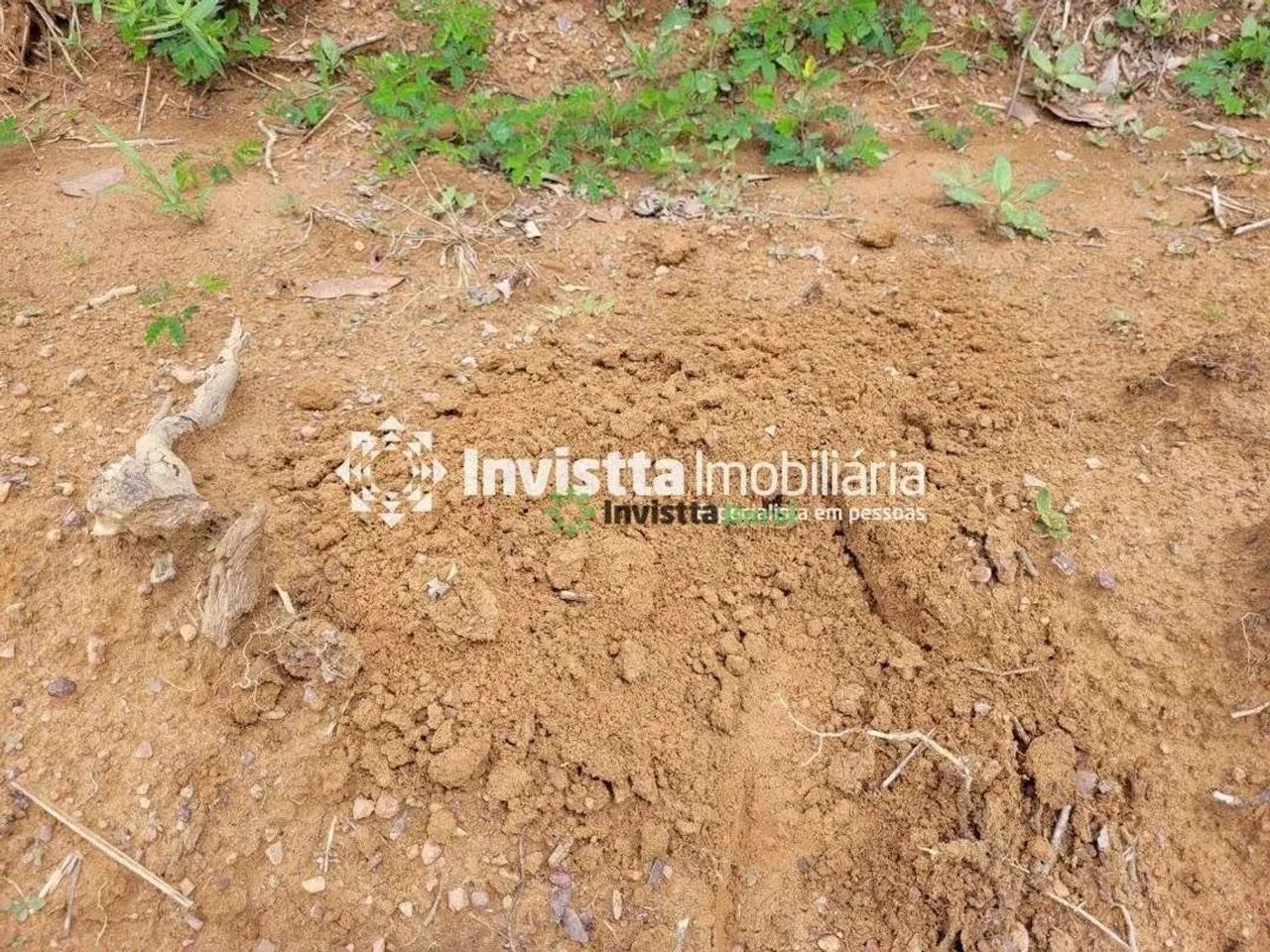 Fazenda de 532 alqueires com dupla aptidão na região de Pedro Afonso