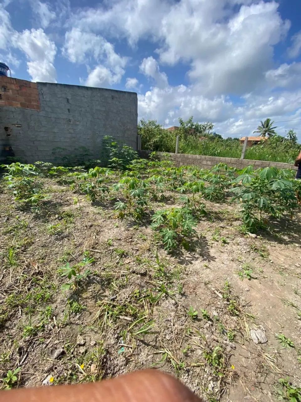 TERRENO PRÓXIMO AO TIMBÓ  - Foto 5