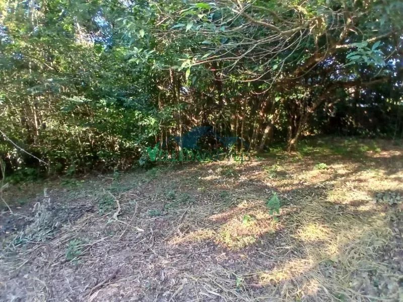 Velleda oferece lindo imóvel comercial no Espigão com 3.200m² e localização estratégica - Foto 8