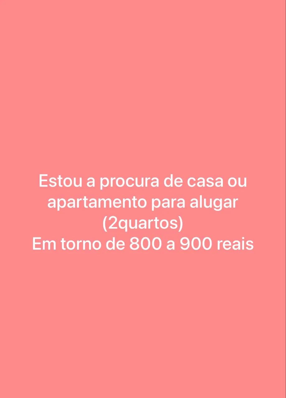 Foto - São Luís - Jardim das Margaridas