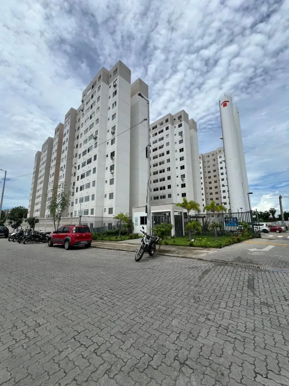 VIDA BOTÂNICA   Passaré/Cajazeiras
