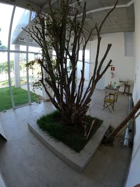 Locação de Loja em Belo Horizonte-MG, bairro Castelo - Foto 3