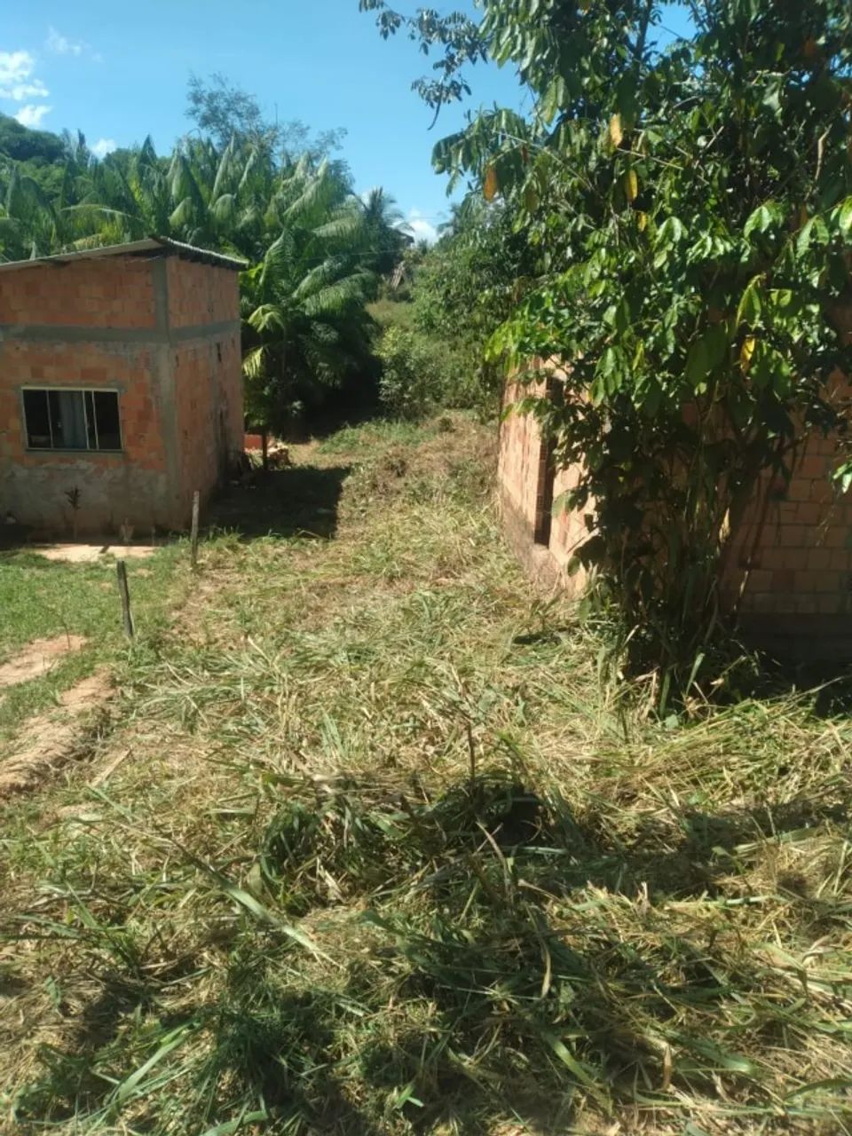 Lote bom - Foto 2