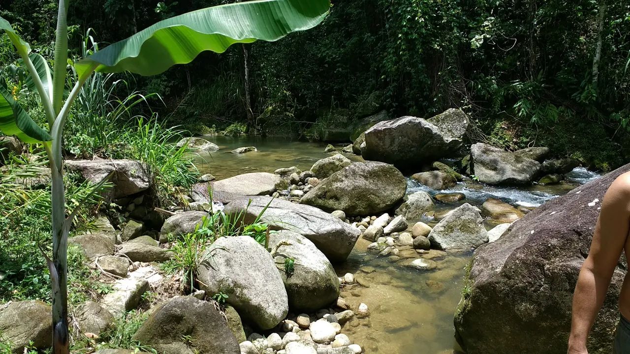 Linda chácara na serra macaense - Foto 5