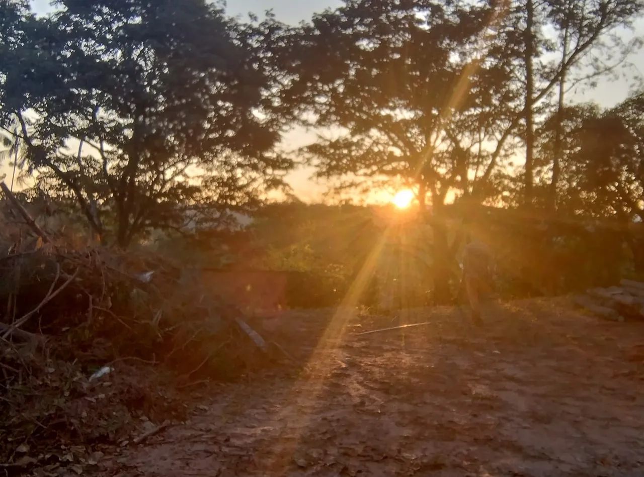 Vendo terreno torrão de Ouro  - Foto 5