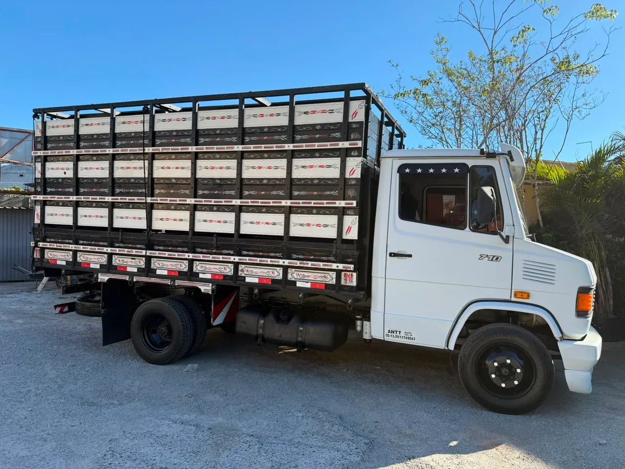 Caminhão único dono