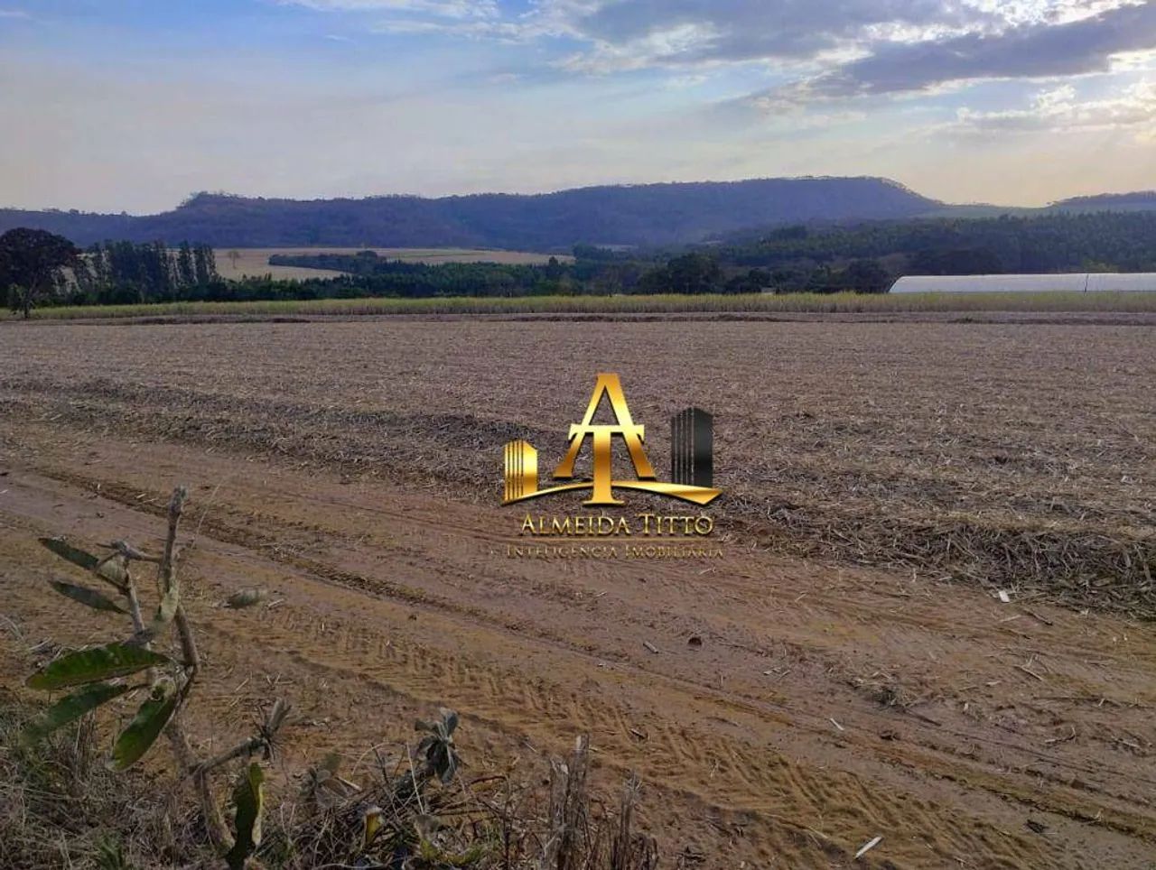 Fazenda à Venda - Zona Rural - Mococa/SP